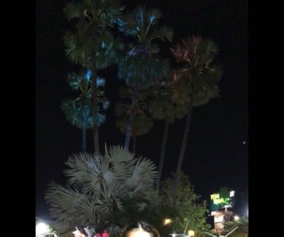 บรรยากาศ ตลาดต้นตาล