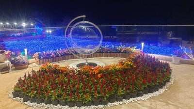 บริเวณโดยรอบ