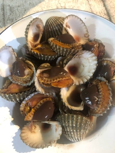 หอยแครงลวก