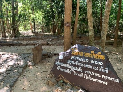 วนอุทยานภูแฝก