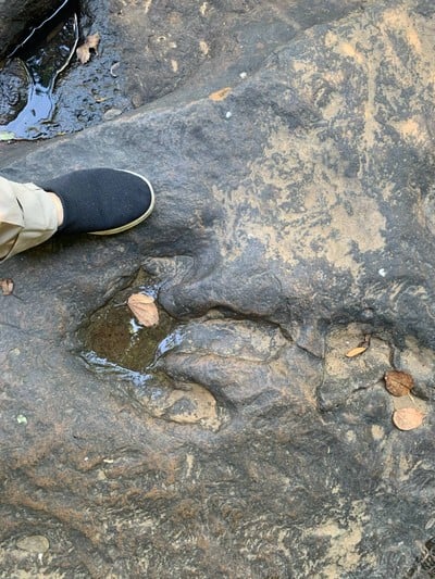 วนอุทยานภูแฝก