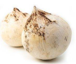 มะพร้าวเผา ลูกใหญ่