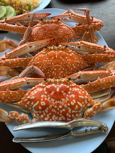 ปูม้านึ่ง ไซส์ใหญ่