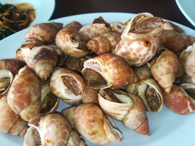 หอยหวานเผา 1 กิโลกรัม