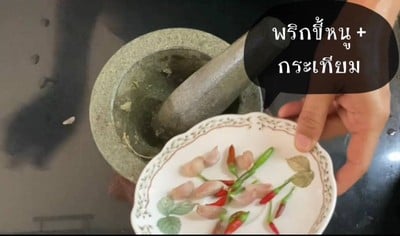 วิธีทำ หอยลายผัดโหระพา