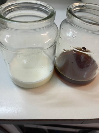 วิธีทำ Coffee & Milk Jelly With Matcha Latte วิธีทำ Coffee & Milk Jelly With Matcha Latte