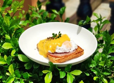 วิธีทำ Hollandaise Sauce (Egg Benedict) ซอสฮอลลันเดส วิธีทำ Hollandaise Sauce (Egg Benedict) ซอสฮอลลันเดส