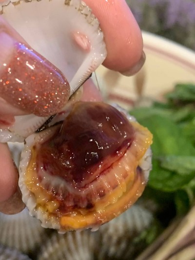 หอยแครงลวก