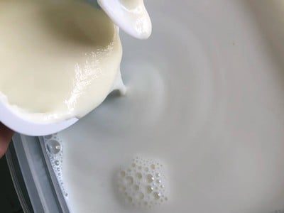 วิธีทำ โยเกิร์ตเปลือกส้มยูซุ วิธีทำ โยเกิร์ตเปลือกส้มยูซุ