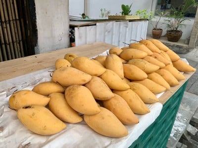 ข้าวเหนียวมูนเนรมิต โชคชัย4 ลาดพร้าว นาคนิวาส (ปากซอย)
