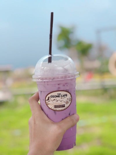 นมเผือก