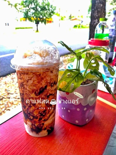 นมหมี บุกไข่มุก+ซอสบราวชูการ์