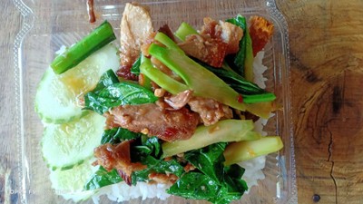 ข้าวคะน้าหมูกรอบ