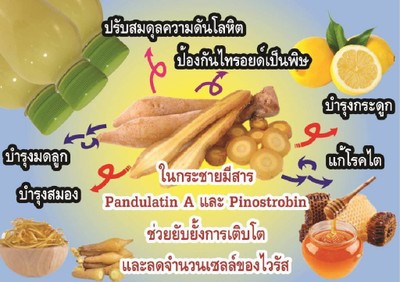 โปร3ขวดน้ำเลมอนกระชายน้ำผึ้ง ขนาด220ml