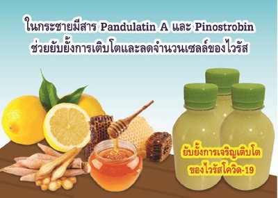 โปร3ขวดน้ำเลมอนกระชายน้ำผึ้ง ขนาด220ml