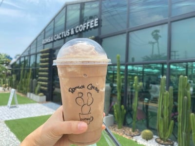 Romsai Cactus & Coffee