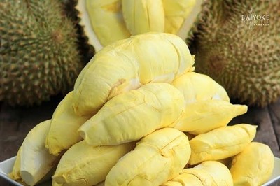 ทุเรียนหมอนทอง