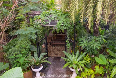 โซน Out Door ความเขียวปกคลุมทั่วทุกพื้นที่