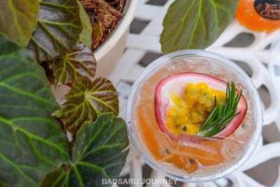 Grapefruit Passion Soda