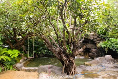 โซนน้ำตก ถูกใจเด็กๆ เลยแหละ