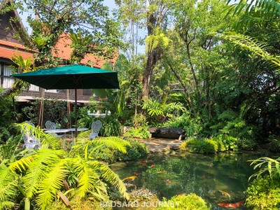 โซนปลาคราฟ 