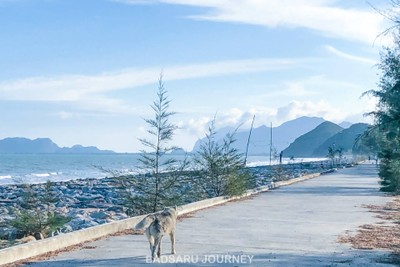 บรรยากาศหน้าที่พัก