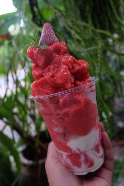 สตอเบอรี่โยเกิร์ต