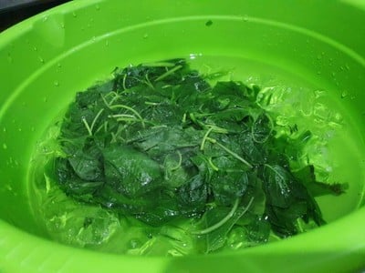 วิธีทำ ผักโขมน้ำมันงา เครื่องเคียงเกาหลี วิธีทำ ผักโขมน้ำมันงา เครื่องเคียงเกาหลี