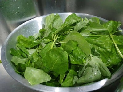 วิธีทำ ผักโขมน้ำมันงา เครื่องเคียงเกาหลี วิธีทำ ผักโขมน้ำมันงา เครื่องเคียงเกาหลี