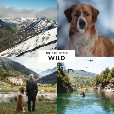 20 MOVIES : Hiking Trekking Camping เดินป่าทิพย์ผ่านภาพยนตร์