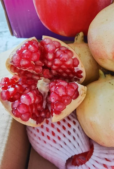 ทับทิม  แกะเรียบร้อย สีชมพู