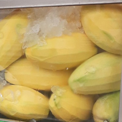 มะม่วงแก้วขมิ้นยังไม่เหลืองมากนะคะ