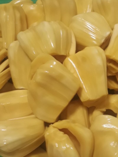 ขนุนทองประเสริฐ