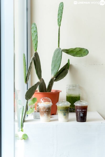 บรรยากาศ Blue bica coffee สกลนคร