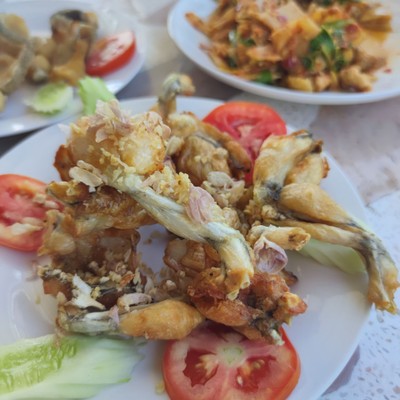 กบทอด