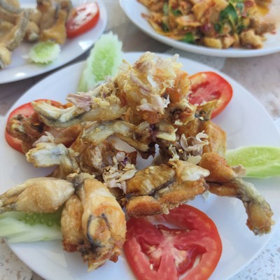กบทอด