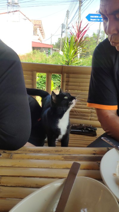 บรรยากาศ