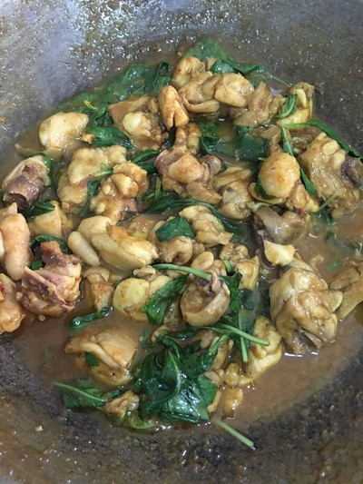 วิธีทำ “ไก่ผัดพริกแกงใต้โหรพา” วิธีทำ “ไก่ผัดพริกแกงใต้โหรพา”