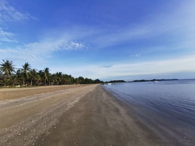 สระว่ายน้ำ/ชายหาด