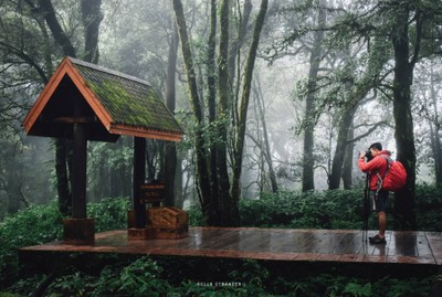 Green Season : 10 ที่เที่ยวทั่วไทยหน้าฝน เอาใจสายธรรมชาติ
