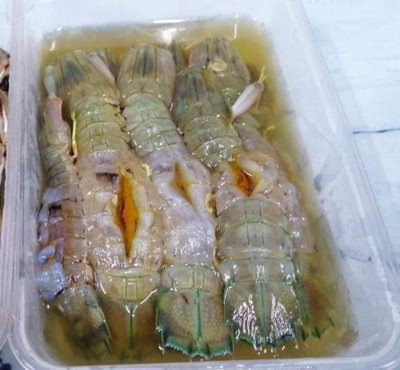 กั้งดอง