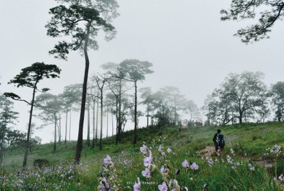Green Season : 10 ที่เที่ยวทั่วไทยหน้าฝน เอาใจสายธรรมชาติ