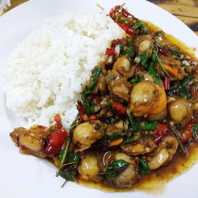 กะเพราหอยเชลล์