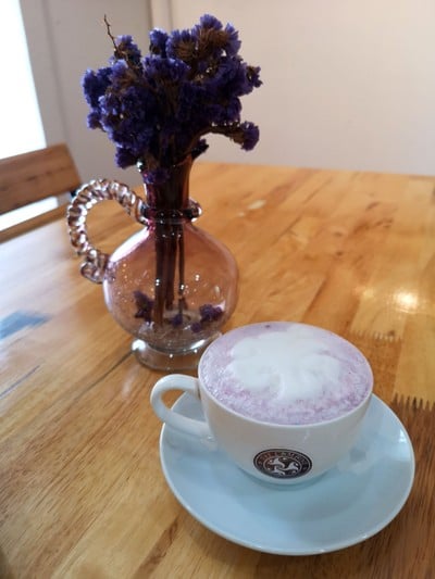 นมเผือกร้อน