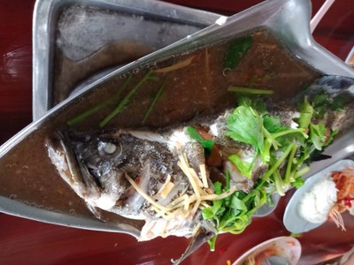 ปลาเก๋านึ่งซีอิ๋ว