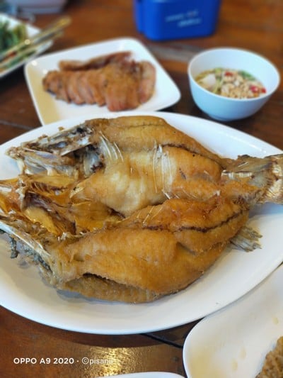 ปลากระพงทอดน้ำปลา