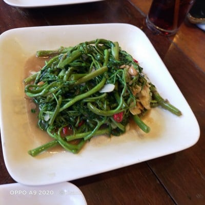 ผัดกระเฉด น้ำมันหอย