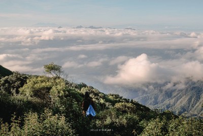 10 สถานที่ท่องเที่ยวและจุดชมวิวทะเลหมอกทั่วไทย