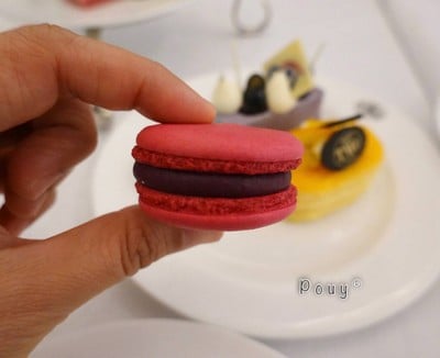 Macaron 1837 black tea& black currant
