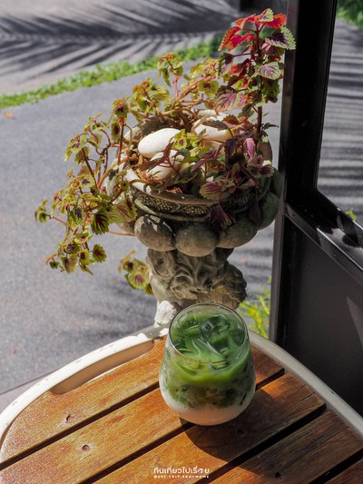 Matcha Latte